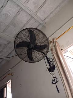 WAHID FAN 220  wallt