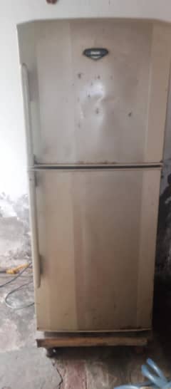 Haier refrigerator