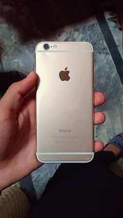 iphone 6