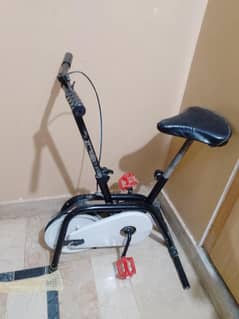 exercise