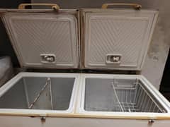 waves fridge & freezer