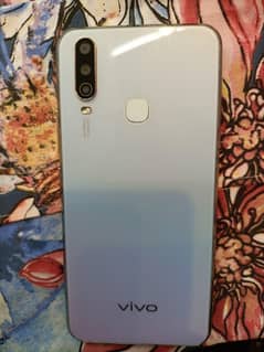 vivo