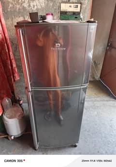 Refrigerator Dowlance