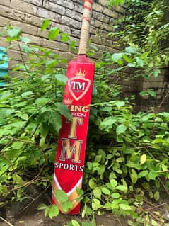 cricket