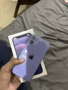 iPhone 12 mini factory