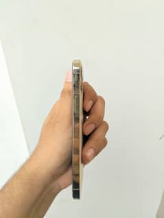 iPhone 12 Pro. 128. Official PTA
