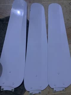 New
