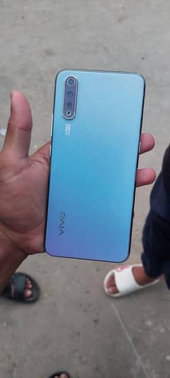 vivo