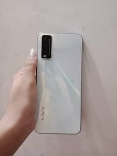 Vivo