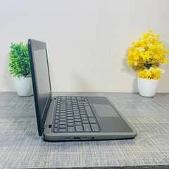 Acer