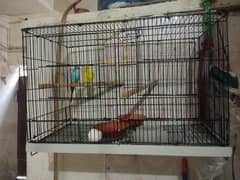 cage