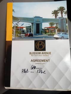 blossom avenue file for sale