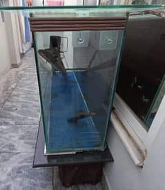 FISH AQUARIUM