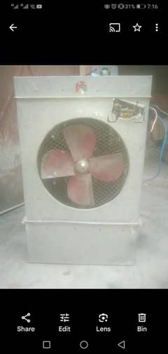 mini lahori color
