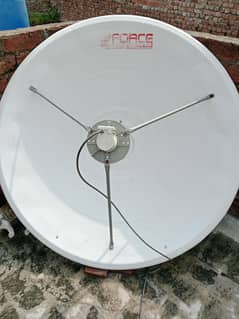 dish
