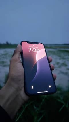 iphone 12 non Pta