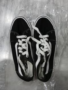 premium vans