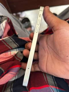 Iphone 12 non pta jv