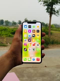 iPhone 11 Pro Max PTA Approved