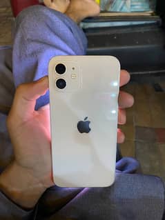 iPhone 12 dual sim pta approved