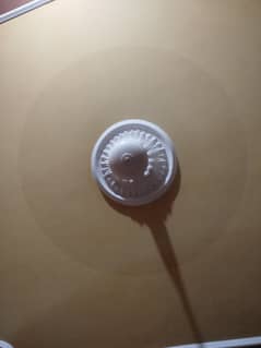 fan