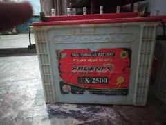 phoenix 2500 tall tubller