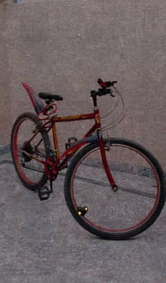 cycle 4 month use