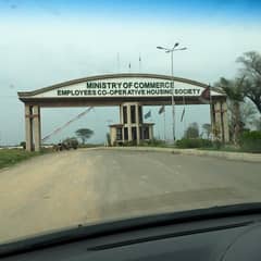 E-19 Ministry of Commerce 25x50 plot for sale