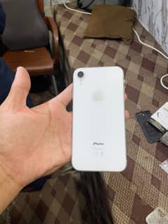 iPhone XR