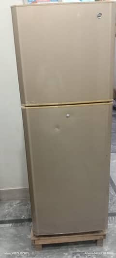 pell fridgebig medium size only call no chat 03052250100