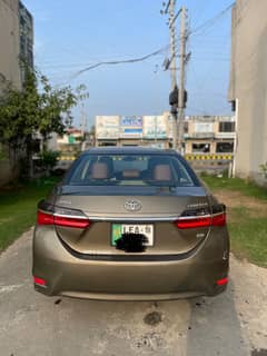 corolla gli