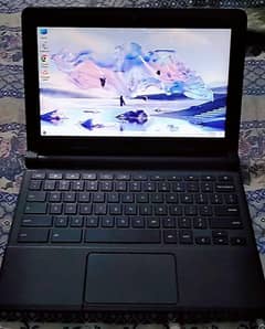 The perfect Laptop Chrome book