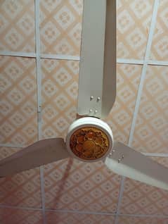 Ceiling