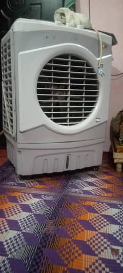 urgent sale room colar best performance
