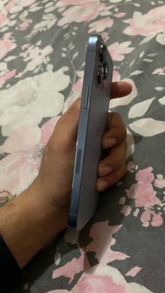 13pro max 128gb Condition 10/10 heath81 pta done