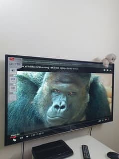 tcl led