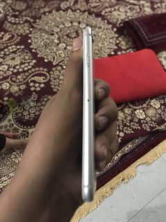 03289820295