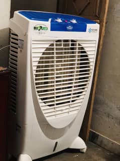 Boss Coller for Sale urgently