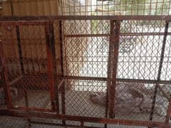 well constructed with best things hens or parrot combined cage