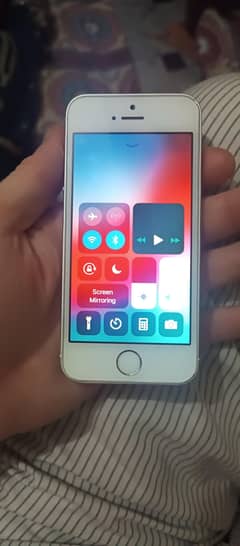 Apple 5s