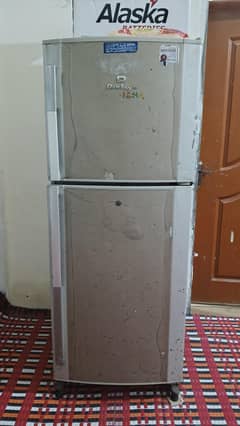 Frige