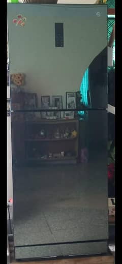 pel company fridge
