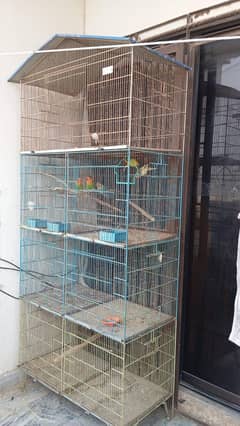 bird's cage