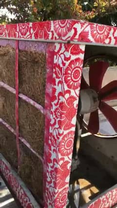 air cooler