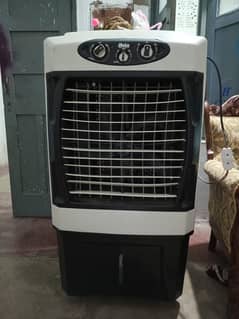 Soler Cooler