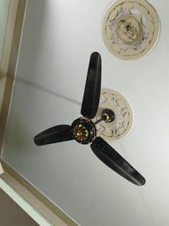 New Polo fans available. copper winding