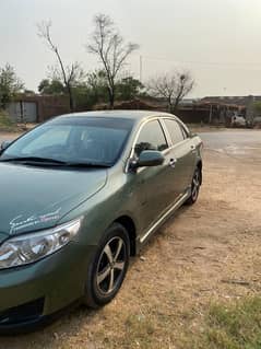 gli 11 mdl