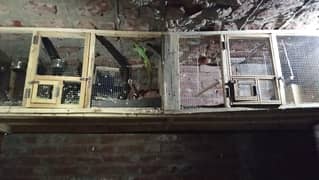 cage for sale with parrot's