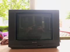 Sharpe Tv
