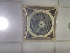 3 Ceiling Fans